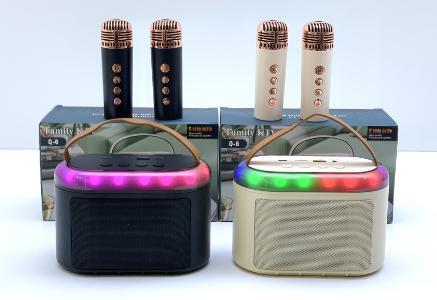 Pockul POPULAR SPEAKER+MICPHONE Q6
ONE MIC