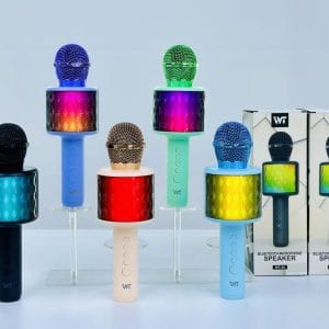Pockul BT KARAOKE MICROPHONE WT-02