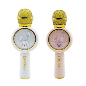 Pockul BT KARAOKE MICROPHONE X6